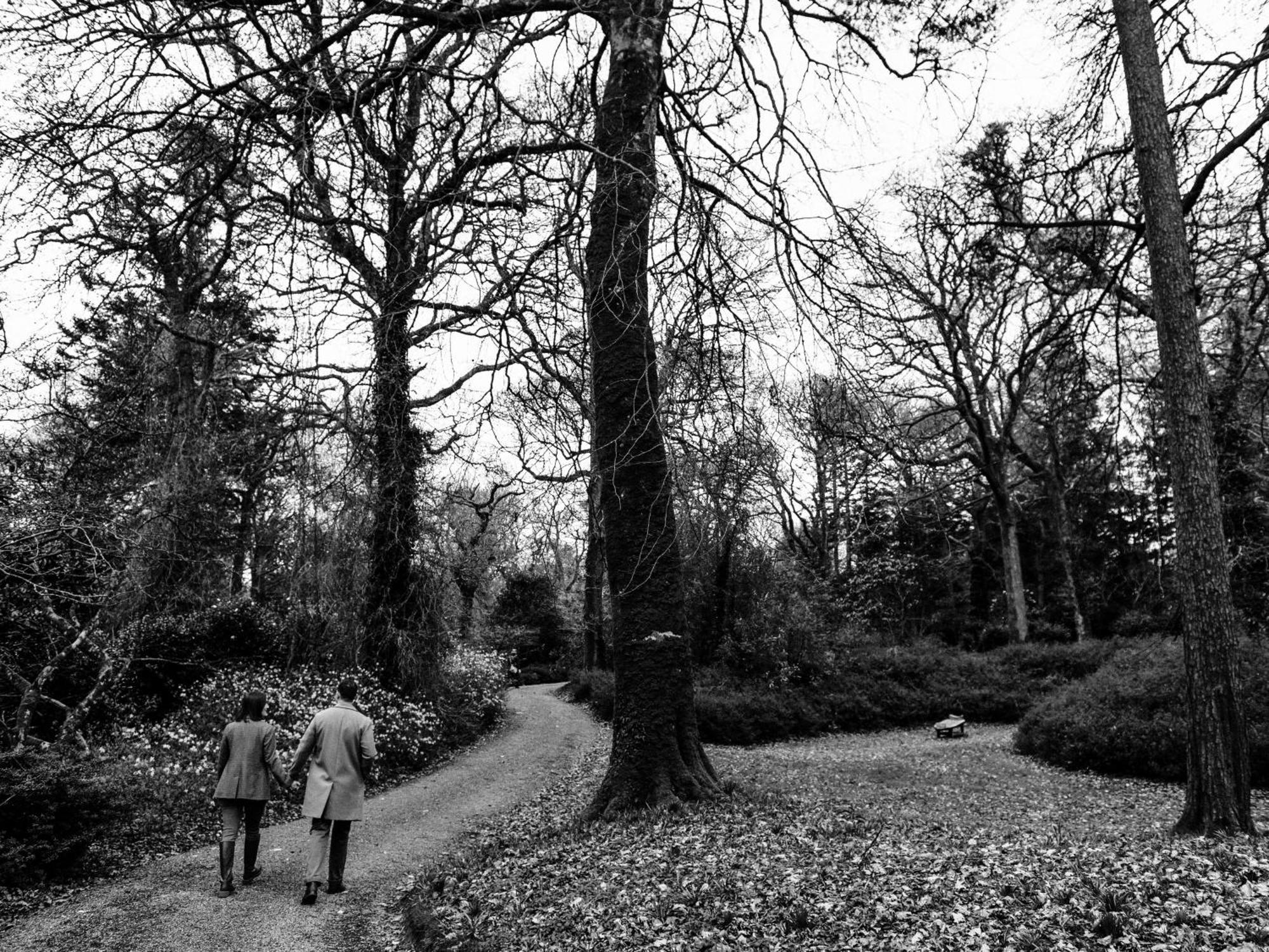 The Forest At Mount Congreve Gardens Kilmeaden Bagian luar foto