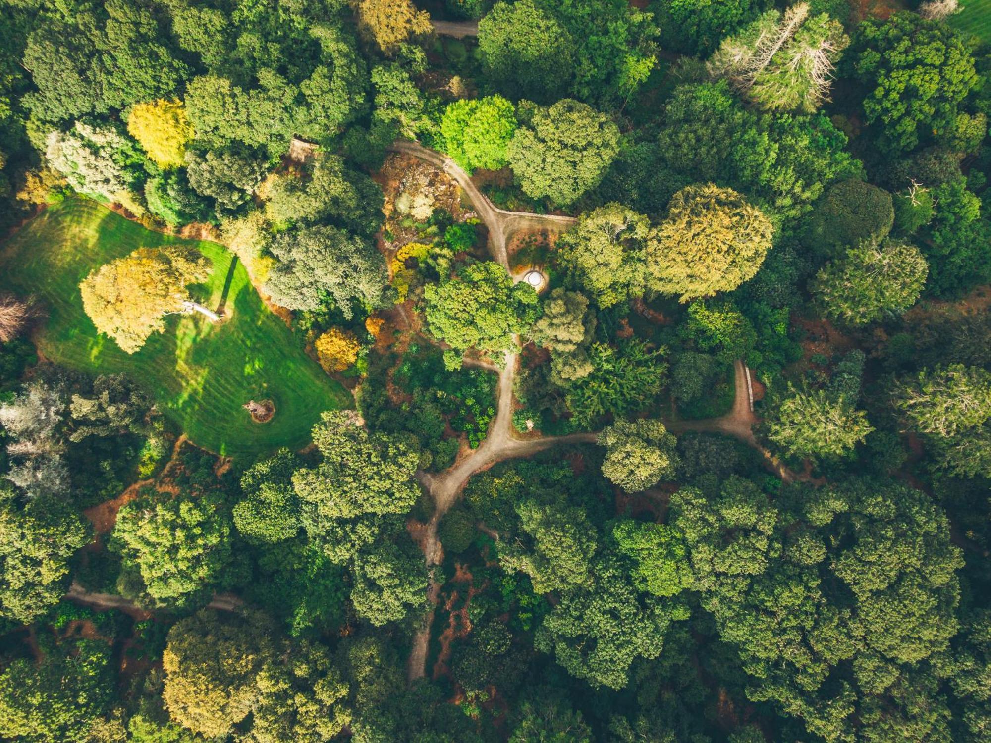 The Forest At Mount Congreve Gardens Kilmeaden Bagian luar foto